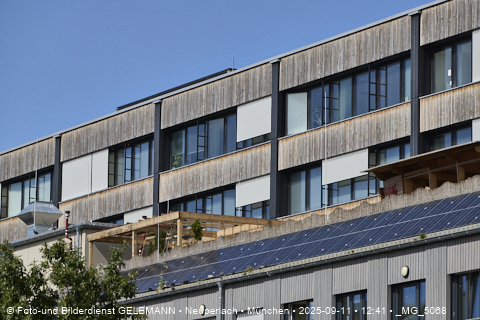 Achitektur_im_Plettzentrum_die Holzverkleidung_an_der_Fassade__MG_5068.jpg